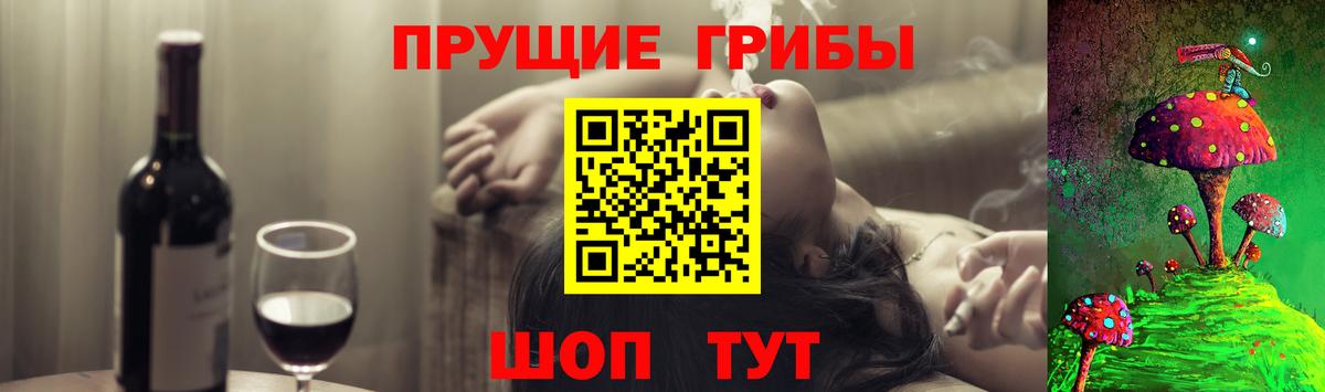 Псилоцибиновые грибы прущие грибы Алейск